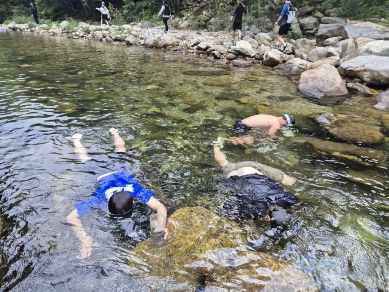 소풍캠핑장 이미지