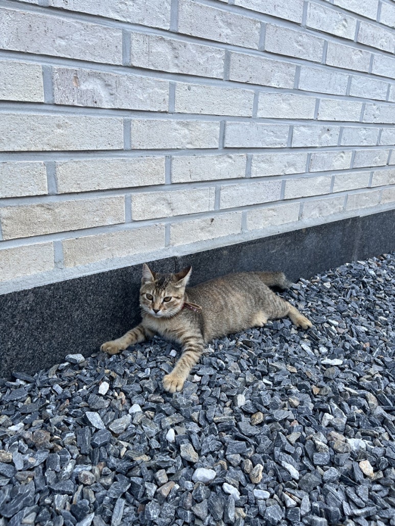 좋은날 펜션 이미지