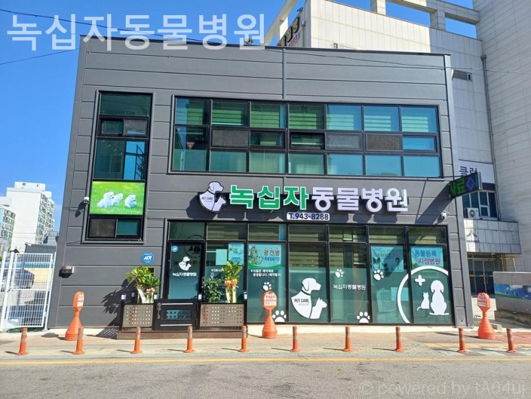 녹십자동물병원