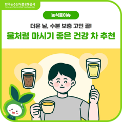 더운 여름, 수분 보충엔? 물처럼 마셔도 좋은 차!🍵 바로가기