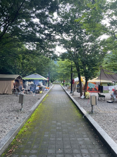 단양남천캠핑장 이미지