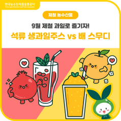 가을 제철 과일 대결🍂 [석류 주스 VS 배 스무디] 당신의 선택은? 바로가기