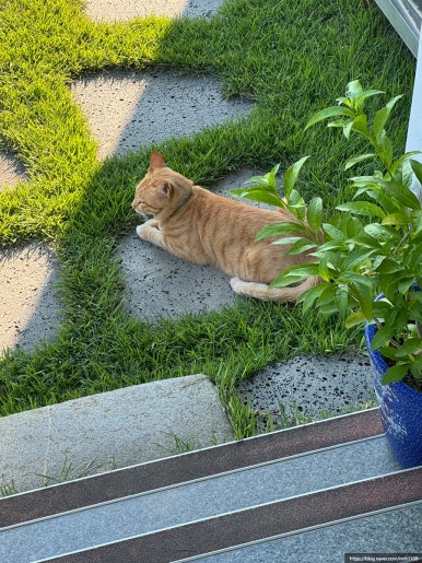 무흘구곡 사인암