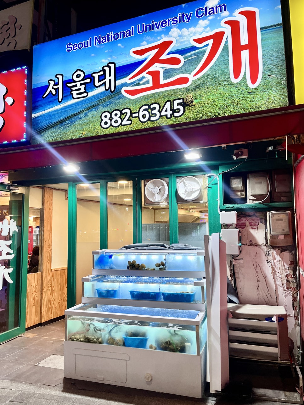 서울대조개 사진 8