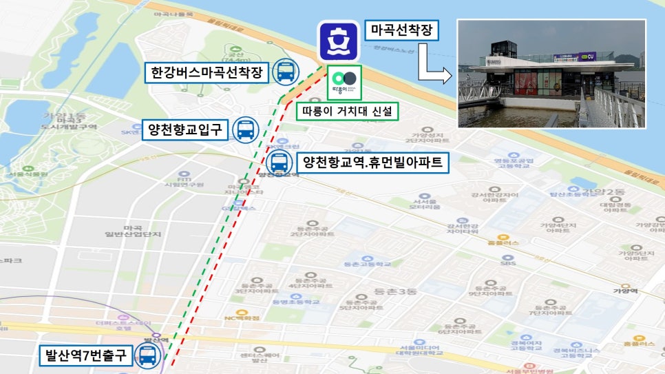 브로콜리 지역정보 관련 사진 14