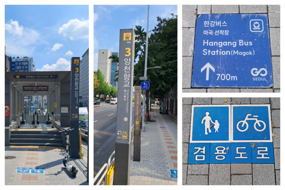 브로콜리 지역정보 관련 사진 10