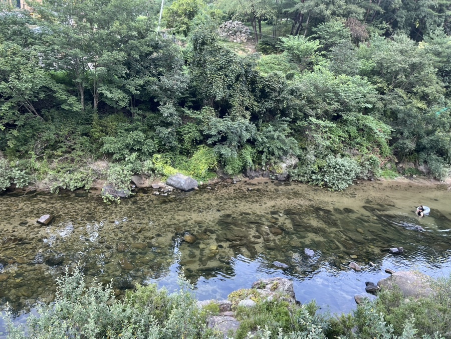 단양팔경펜션 이미지