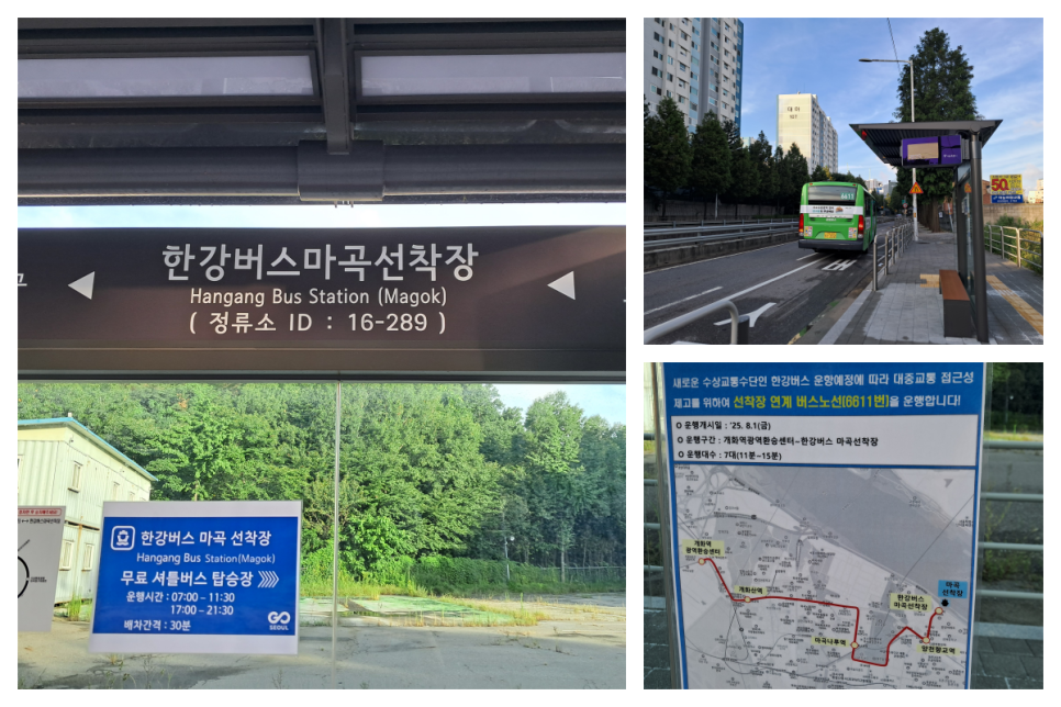 브로콜리 지역정보 관련 사진 13