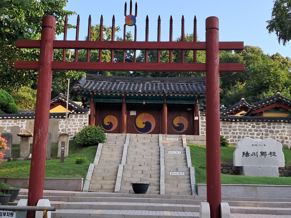 브로콜리 지역정보 관련 사진 9