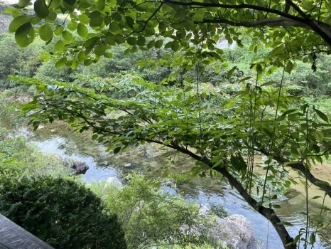 단양팔경펜션 이미지