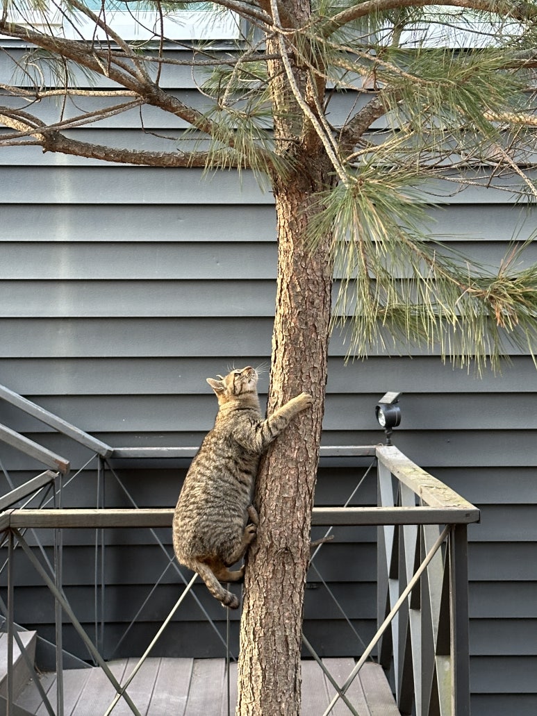 제천산악체험장 이미지