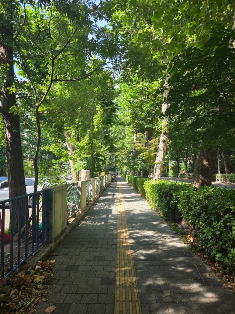 어해브 파리 사진 3