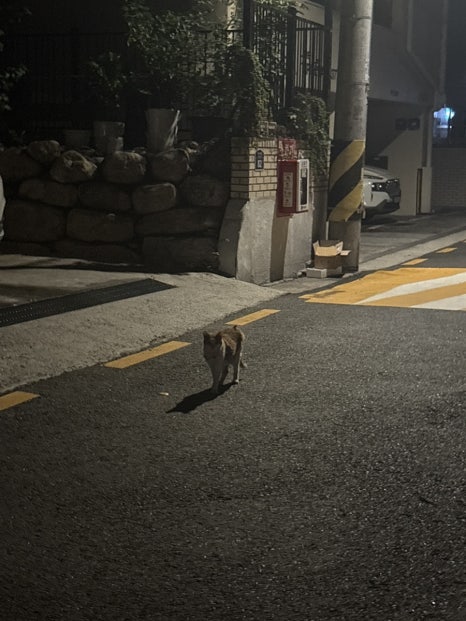 (주)엔버스 이미지