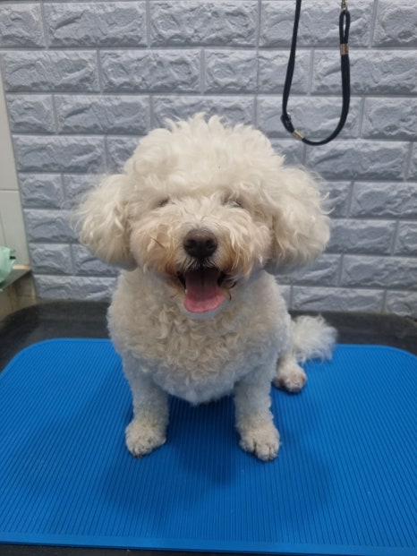 참동물병원