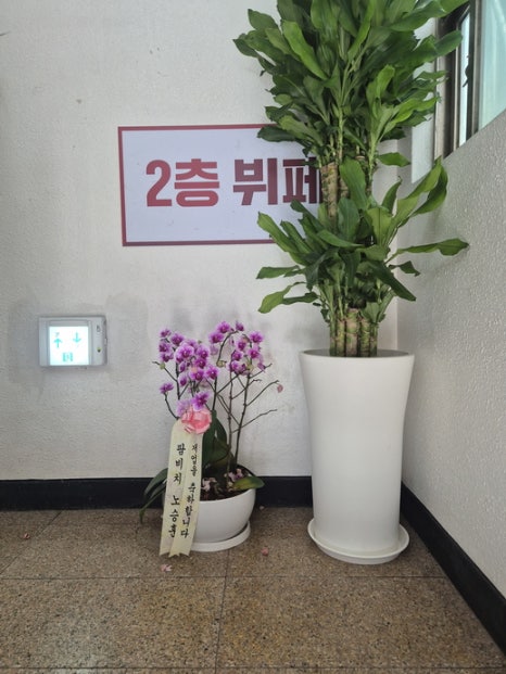 영월갈비 사진 6
