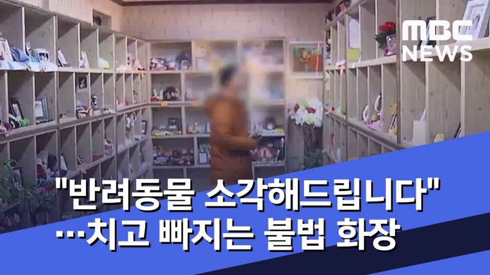 대구 강아지 장례 비용, 절차, 합법 기준 완벽 가이드 — 사진 3
