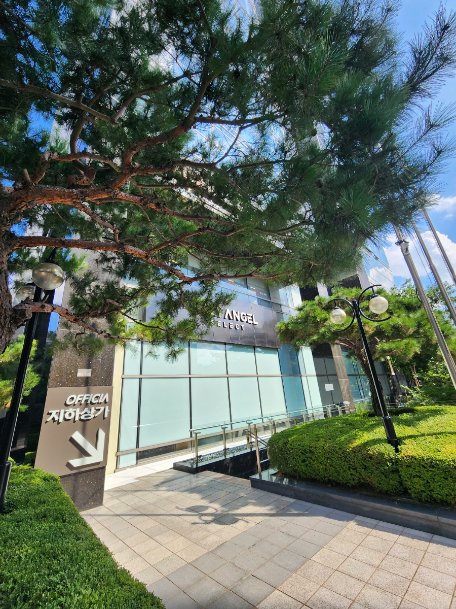 돌고래밥 사진 7
