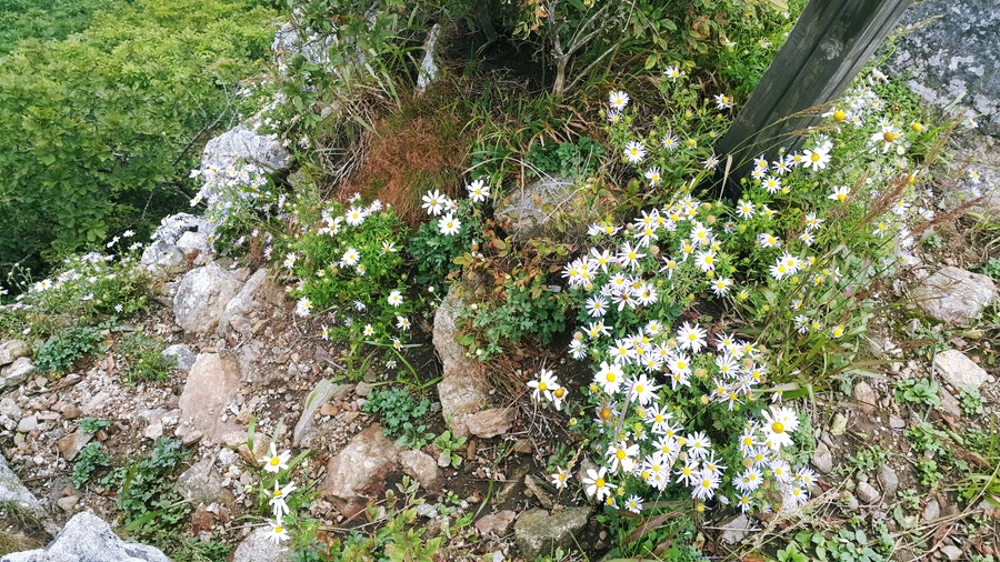 소백산국립공원 죽령코스 이미지