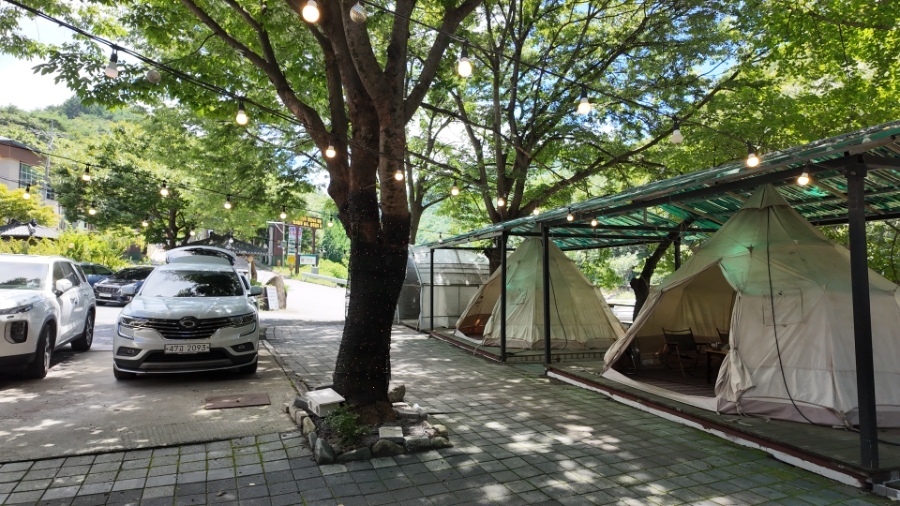 단양연화 이미지