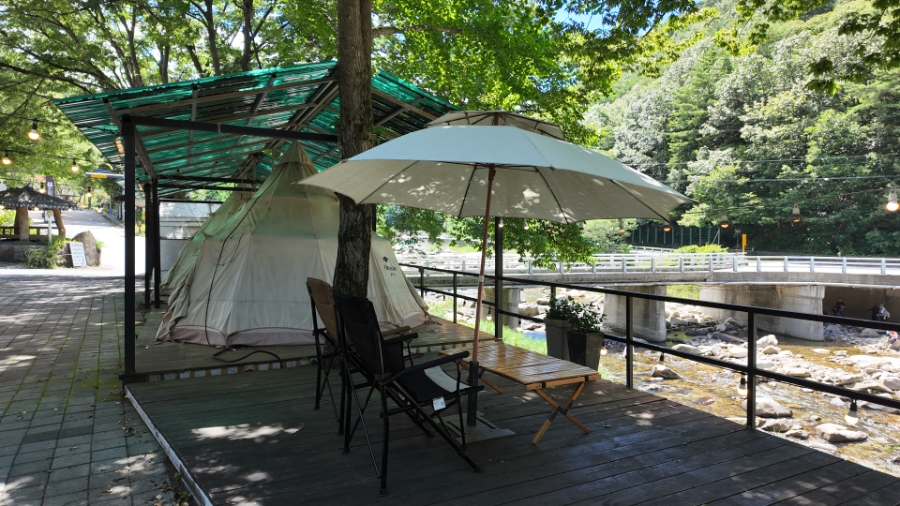 단양연화 이미지