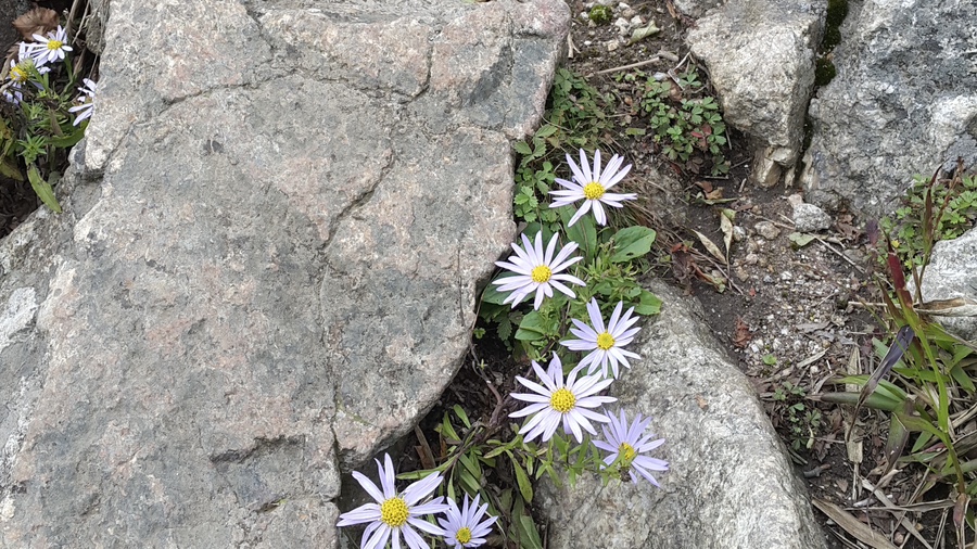 소백산국립공원 죽령코스 이미지