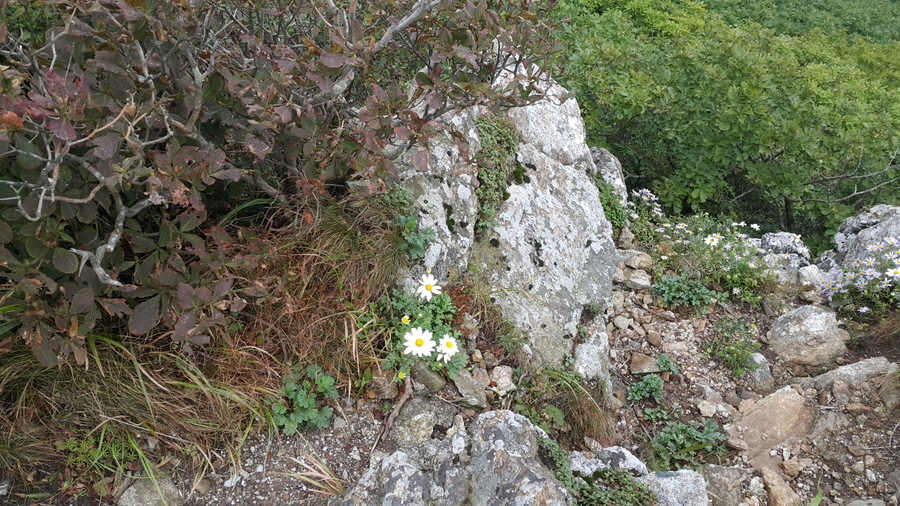 소백산국립공원 죽령코스 이미지