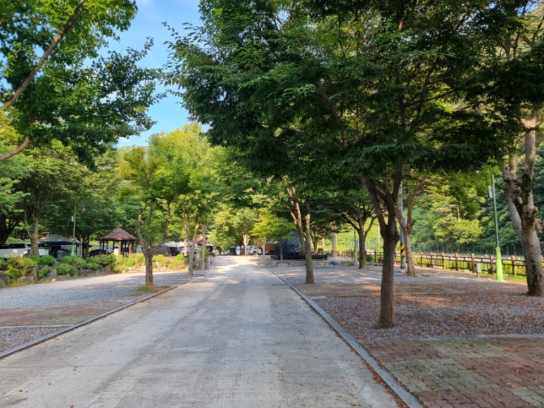 소선암오토캠핑장 이미지