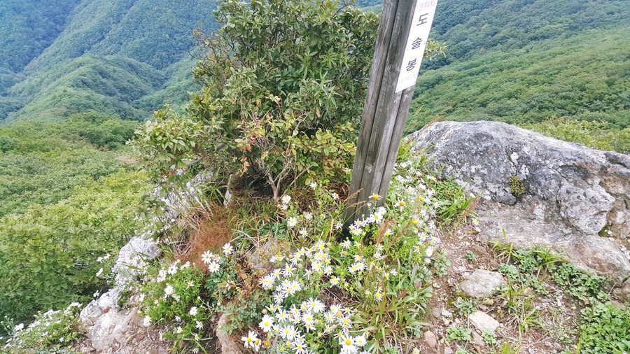 소백산국립공원 죽령코스 이미지