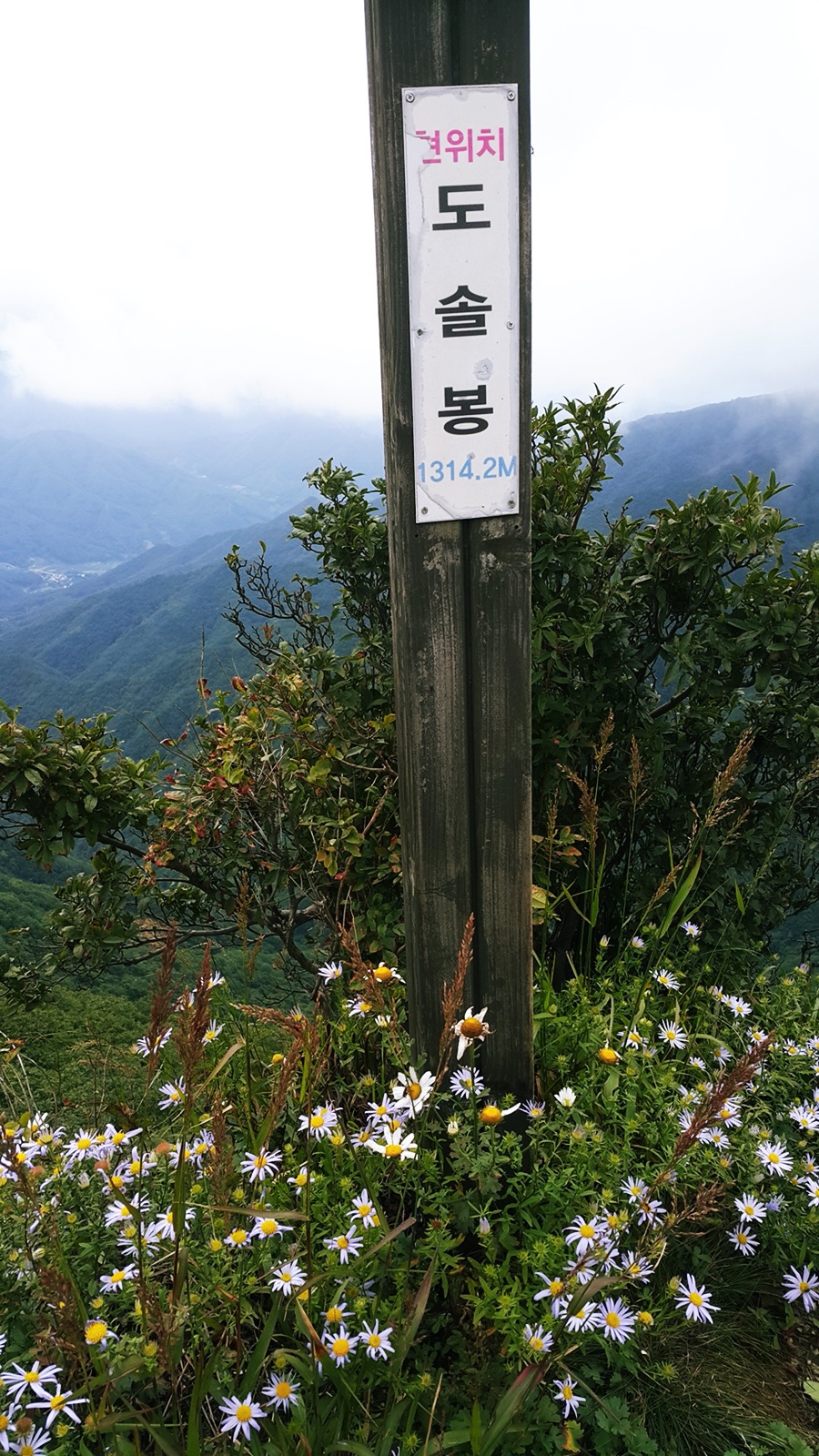 소백산국립공원 죽령코스 이미지