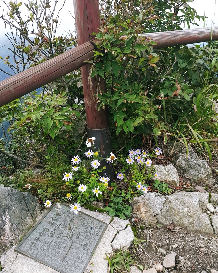 소백산국립공원 죽령코스 이미지