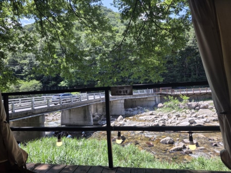 단양연화 이미지