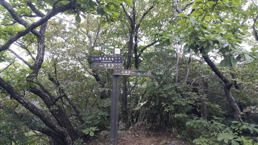 소백산국립공원 죽령코스 이미지