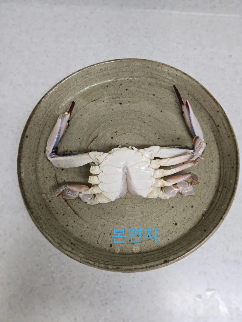 가을 추억음식 레시피