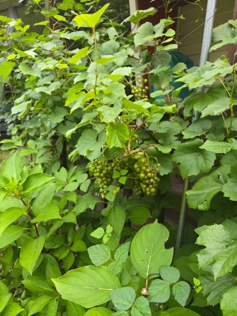 예그리나펜션 이미지