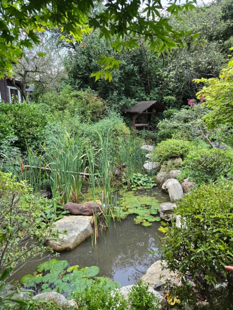 예그리나펜션 이미지