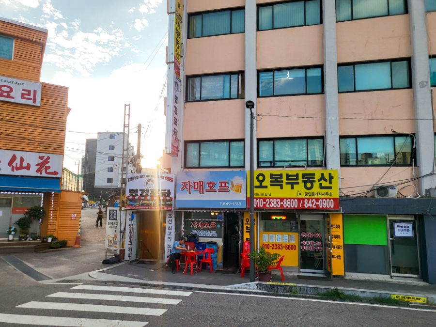 자매호프 사진 7