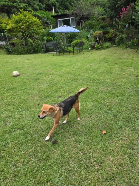 예그리나펜션 이미지