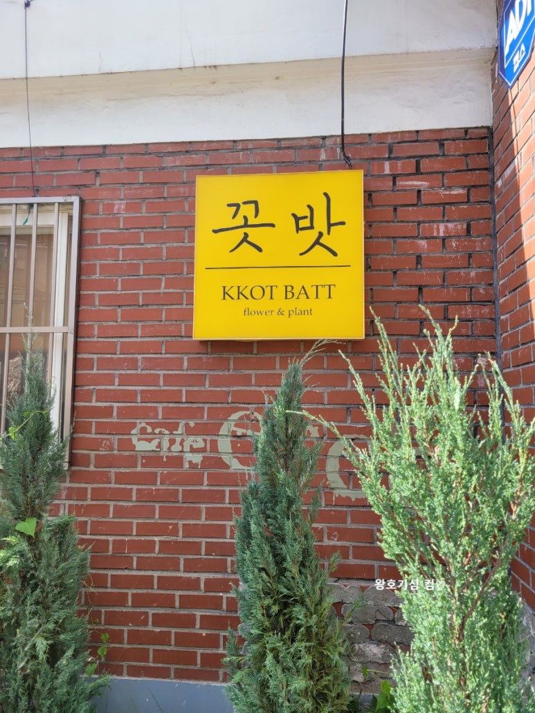 강아지 대전 중촌동 애견 동반 브런치 카페 '에서' 방문 후기