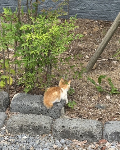 대교식당 이미지