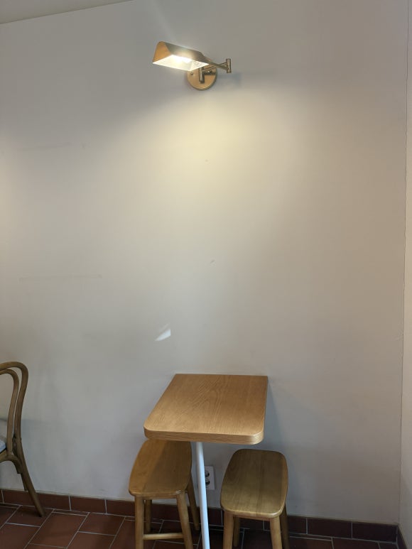 바닐리 사진 6