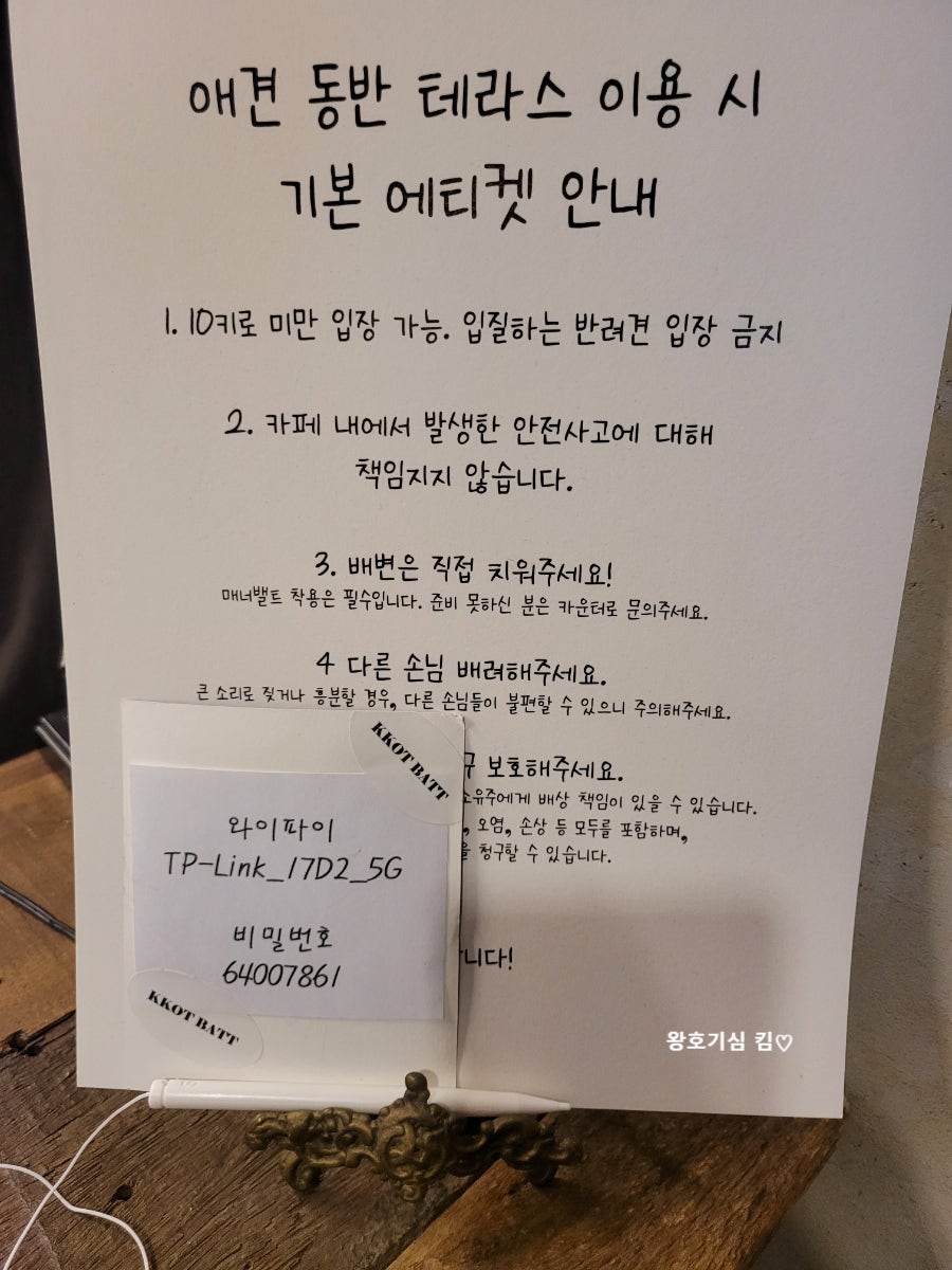 대전 중촌동 애견 동반 브런치 카페 '에서' 방문 후기 — 사진 4