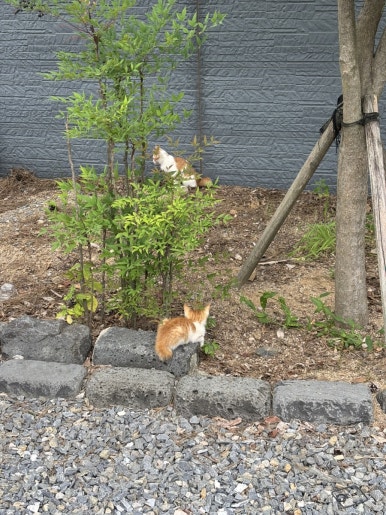 대교식당 이미지