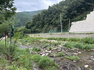 대교식당 이미지