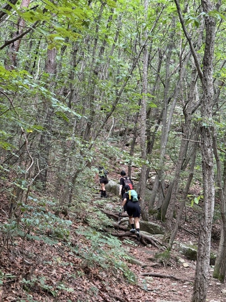 사인암오대감닭한마리 이미지