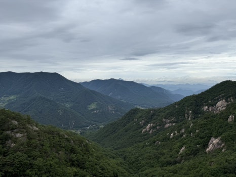 사인암오대감닭한마리 이미지