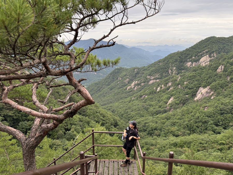 사인암오대감닭한마리 이미지