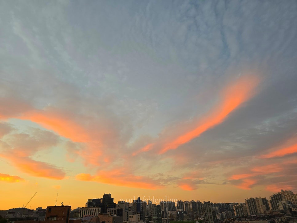 노모어 서울대입구점 사진 8