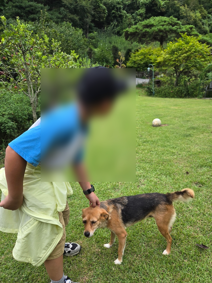 예그리나펜션 이미지