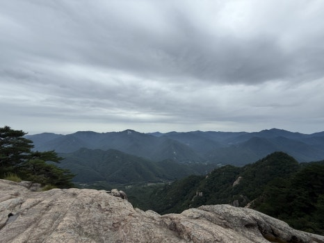 사인암오대감닭한마리 이미지