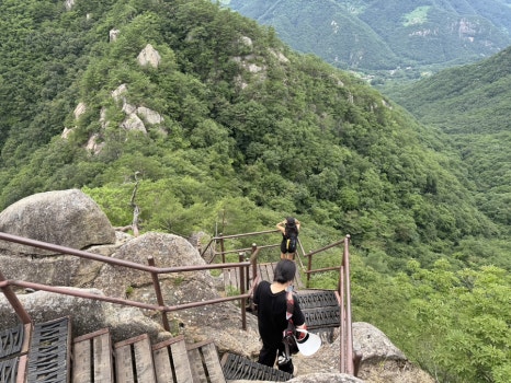 사인암오대감닭한마리 이미지